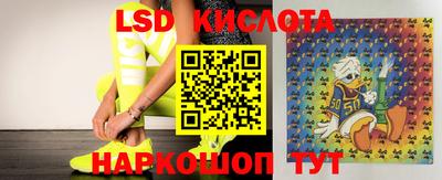 кокс Бийск