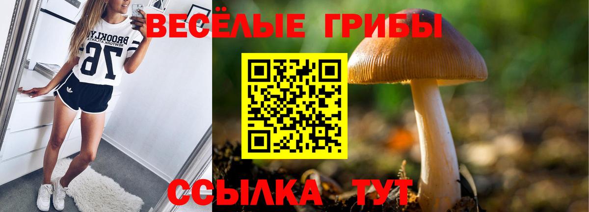 Барнаул  Галлюциногенные грибы прущие грибы  Вход с VPN  Псилоцибиновые грибы Cubensis 